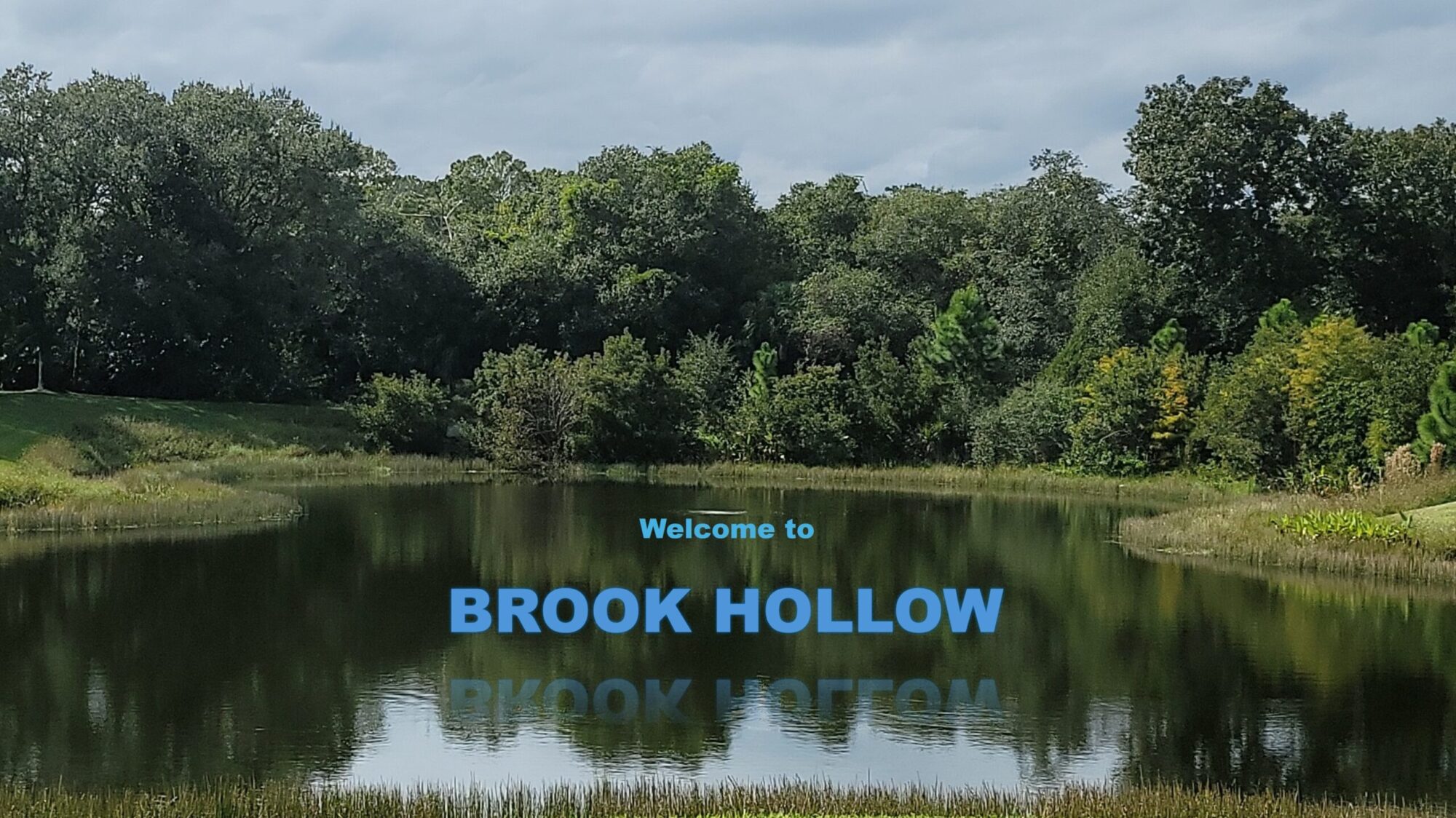 Brook Hollow Community Association (BHCA)